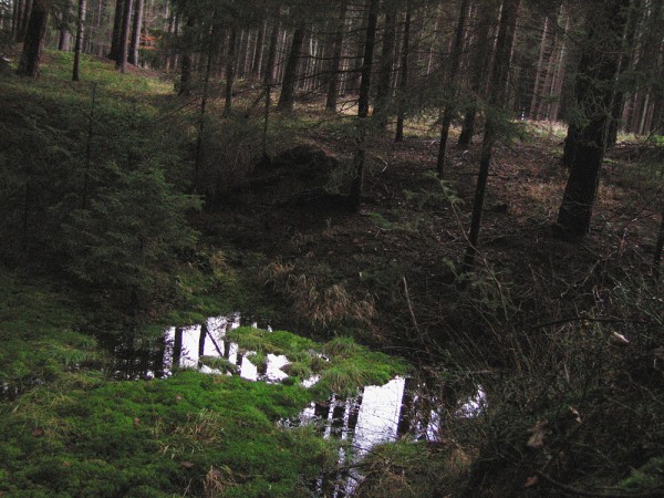 Mostek 2007
