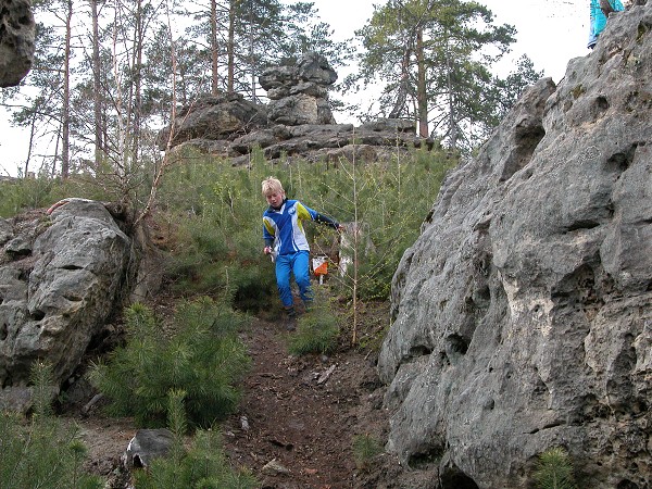 2007
