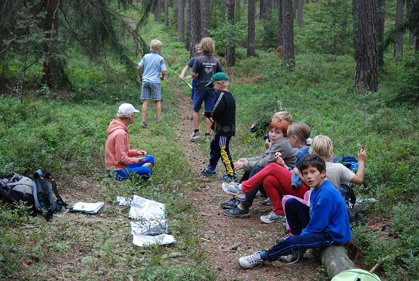 Posekanec 2007