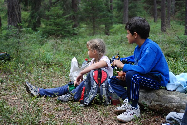 Posekanec 2007