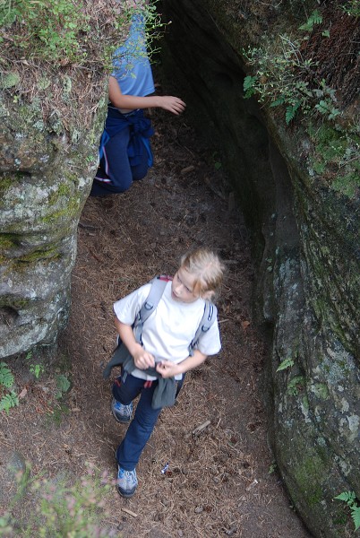 Posekanec 2007