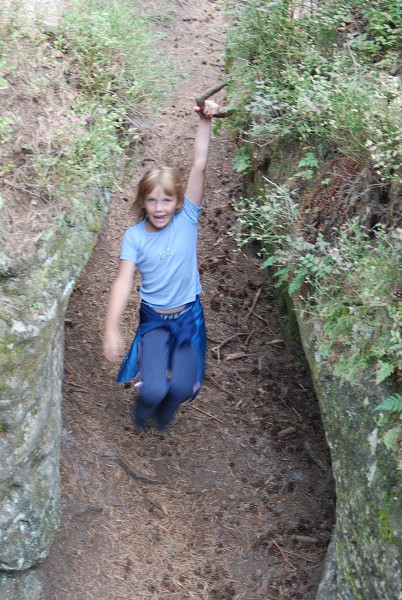Posekanec 2007