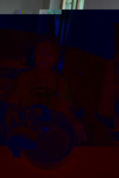 Posekanec 2007