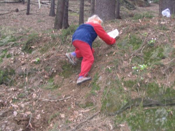 Velikonoční sosutředění