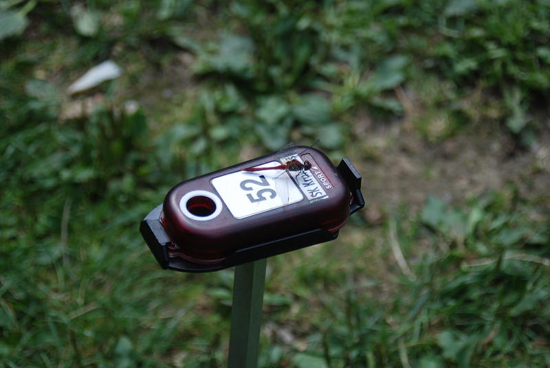 Vranice 2008 (25. - 29. 8.)