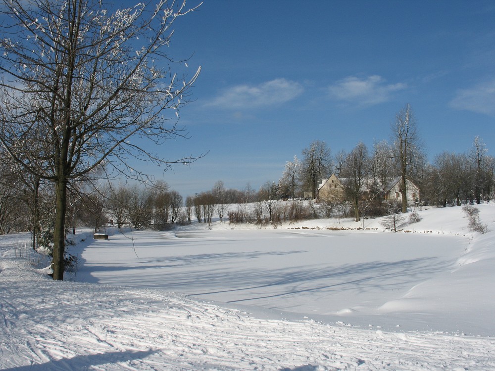 20090125_052.jpg
