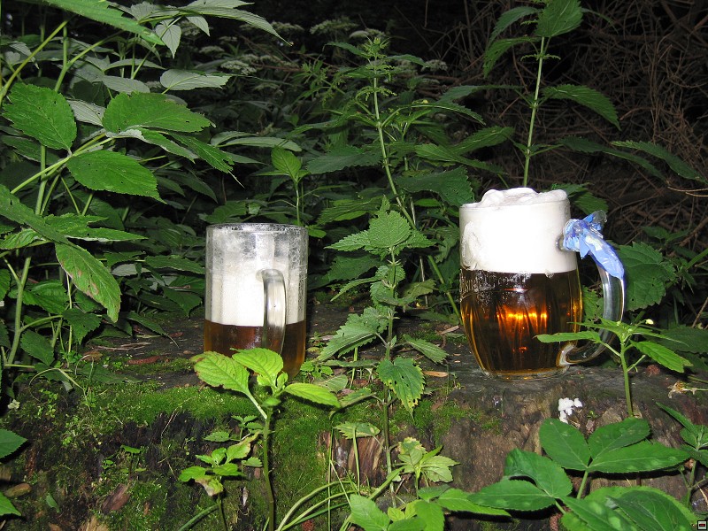 img00101.jpg