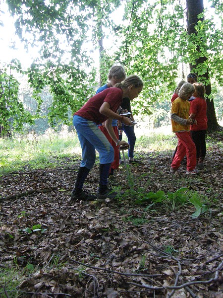 Cvikov 2009 (18. - 23. 8. 2009)