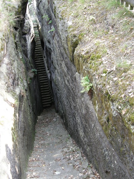 Cvikov 2009 (18. - 23. 8. 2009)