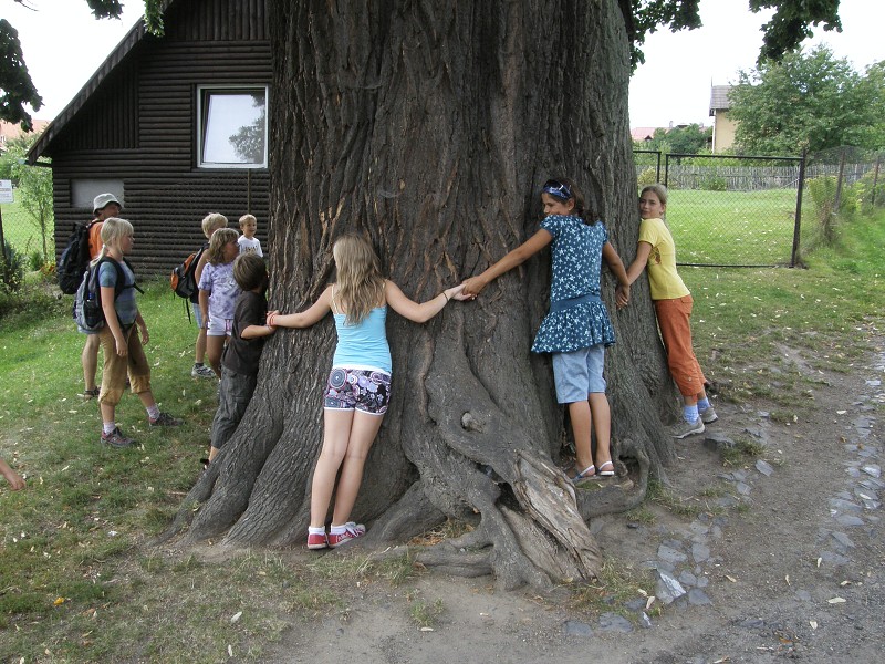 Cvikov 2009 (18. - 23. 8. 2009)