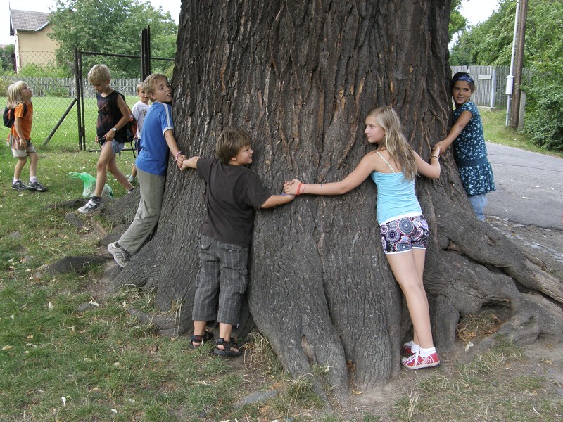 Cvikov 2009 (18. - 23. 8. 2009)