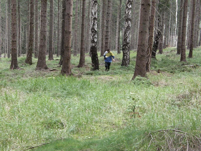 Cvikov 2009 (18. - 23. 8. 2009)