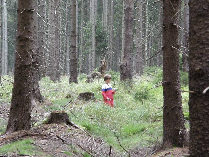 Cvikov 2009 (18. - 23. 8. 2009)