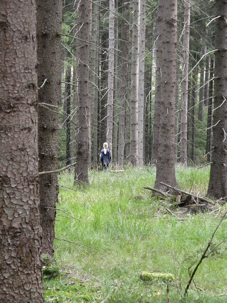 Cvikov 2009 (18. - 23. 8. 2009)
