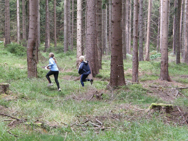 Cvikov 2009 (18. - 23. 8. 2009)