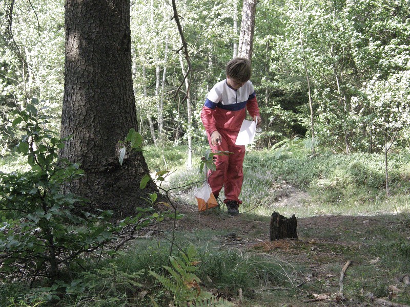 Cvikov 2009 (18. - 23. 8. 2009)