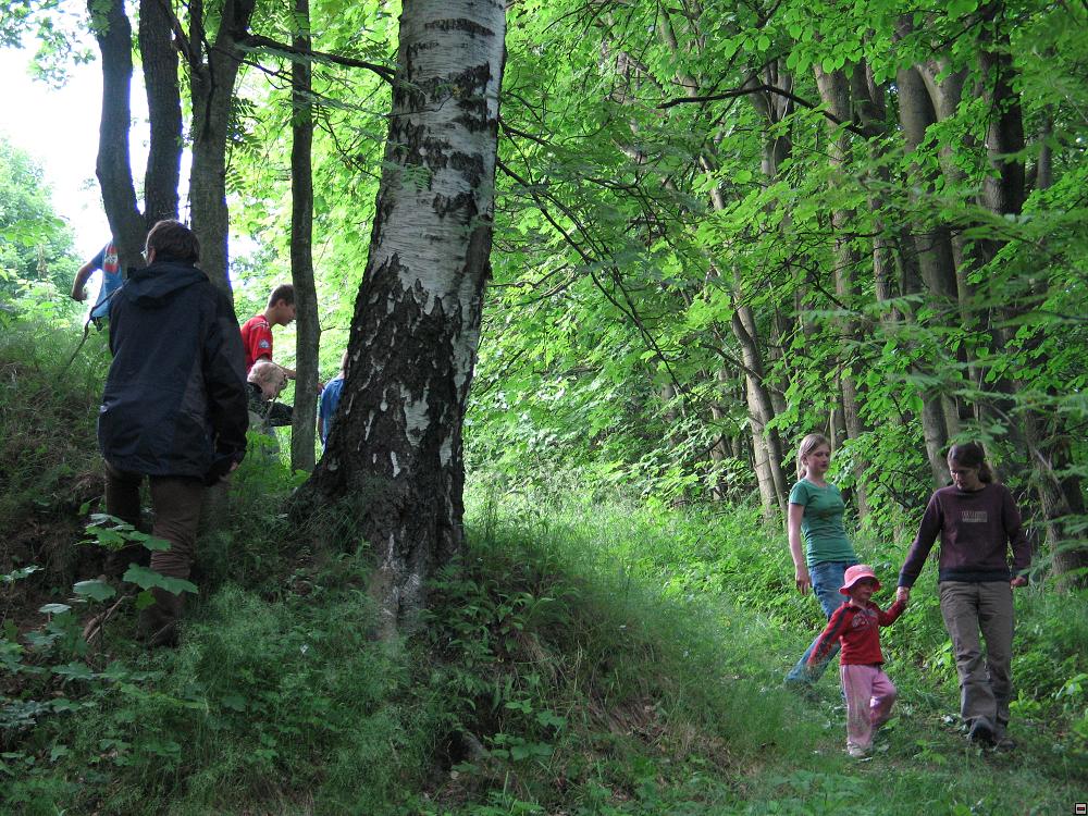 img00012.jpg