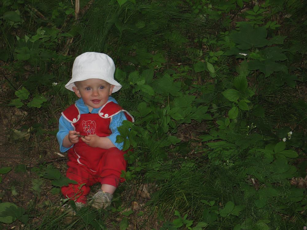 img00014.jpg