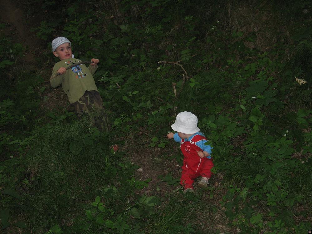 img00015.jpg