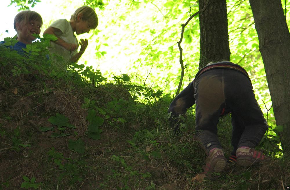 img00025.jpg